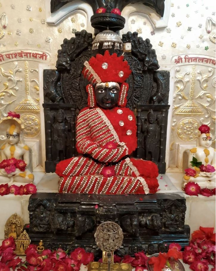 Rishabhdev Naryangarh Mandsaur Temple